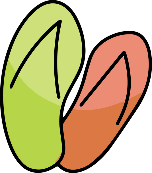 Mismatched Slippers Illustration